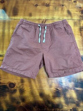 Massive Apparel Casual Elastic Waist Shorts in Mauve
